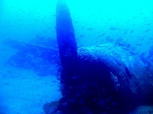 1224740711_br 20 la coda 006