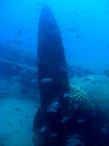 1225528712_br 20 la coda 007