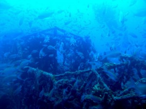 1225529897_br 20 la coda 008