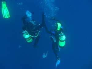 1225530248_br 20 la coda 034