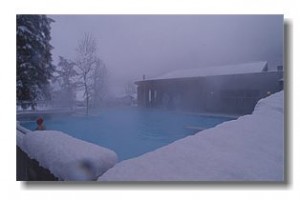 1168820575_andeer_bad_winter 