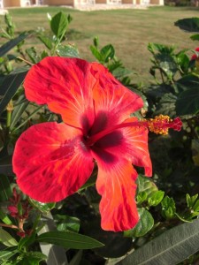 1275475633_Wady Lhamy Azur (34)