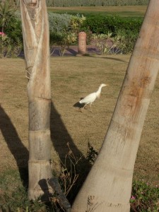 1275475669_Wady Lhamy Azur (51)