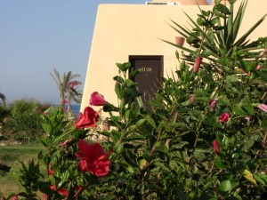 1275475669_Wady Lhamy Azur (52)