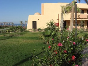 1275475669_Wady Lhamy Azur (53)