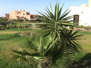 1275475670_Wady Lhamy Azur (54)