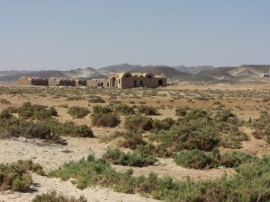 1275475724_Deserto+mangrovieto (10)
