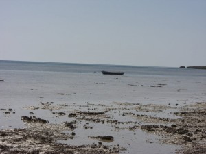 1275475725_Deserto+mangrovieto (11)