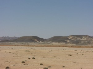 1275475725_Deserto+mangrovieto (13)