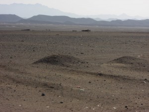 1275475725_Deserto+mangrovieto (2)