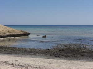 1275475726_Deserto+mangrovieto (31)