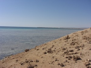 1275475726_Deserto+mangrovieto (8)