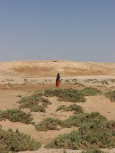 1275475726_Deserto+mangrovieto (9)