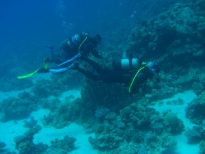 1275475821_Shaab Zabargad Est (1)