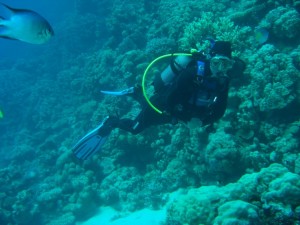 1275475821_Shaab Zabargad Est (2)