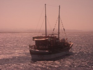 1275475863_Shaab Zabargad ovest  (33)