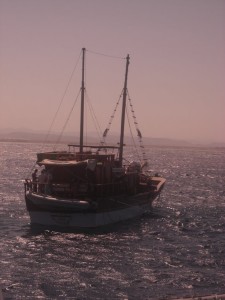 1275475863_Shaab Zabargad ovest  (35)