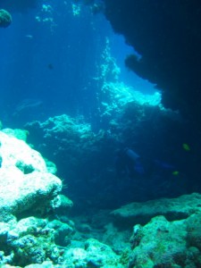 1275475888_Shaab Claudio (1)