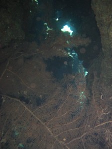 1275475888_Shaab Claudio (12)