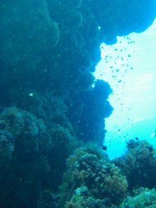 1275475888_Shaab Claudio (14)