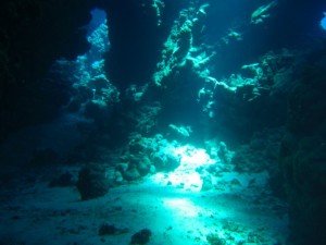 1275475888_Shaab Claudio (16)