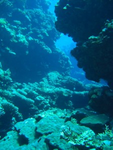 1275475888_Shaab Claudio (25)