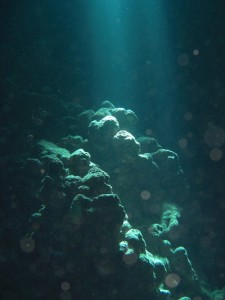 1275475888_Shaab Claudio (3)