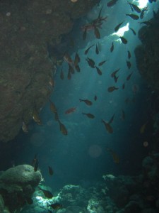 1275475888_Shaab Claudio (8)