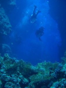 1275475931_Shaab Malahi (22)