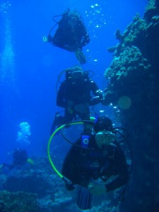 1275475931_Shaab Malahi (24)