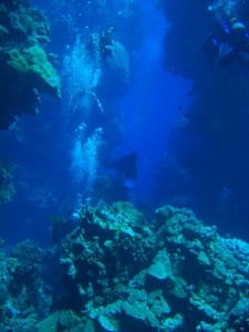 1275475931_Shaab Malahi (25)