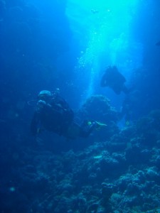 1275475931_Shaab Malahi (27)