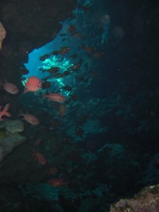 1275475954_Shaab Malahi (36)