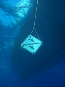 1275475954_Shaab Malahi (44)