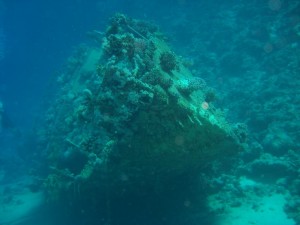 1275475978_Abu Galawa Soraia (2)