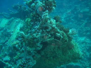 1275475978_Abu Galawa Soraia (3)