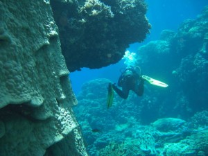 1275475978_Abu Galawa Soraia (8)