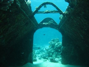 1338322303_IMG_1912