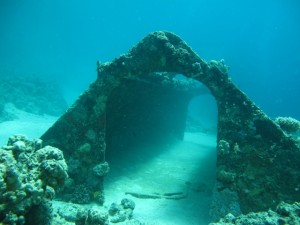 1338322349_IMG_1924