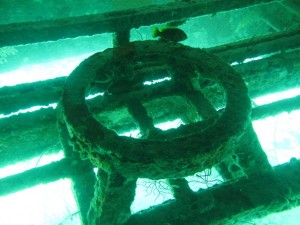 1338322425_IMG_1942