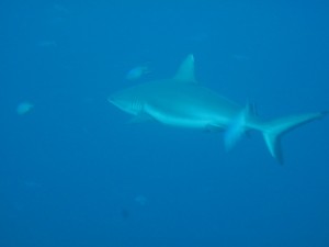 1338322472_IMG_1959