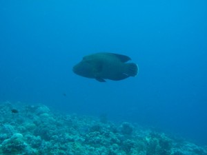 1338322570_IMG_2079