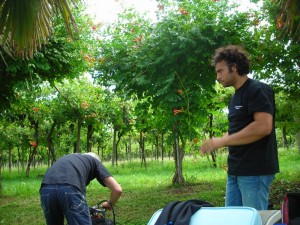 1283459703_DSCN7631 (1)