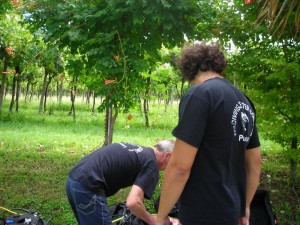 1283459703_DSCN7633 (1)