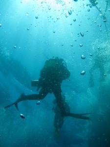 1246292387_haven 06-09 001