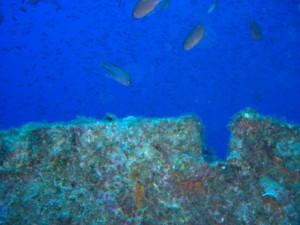 1248087991_haven+framura 016