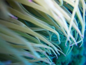 1248088637_framura 053