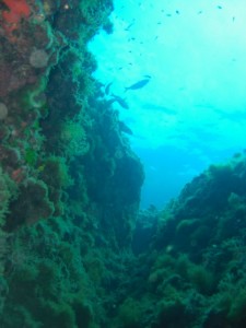 1248088903_framura 102