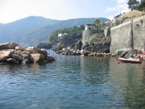 1248089147_IMG_0531 