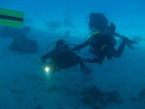 1211726756_urghada 2008 005